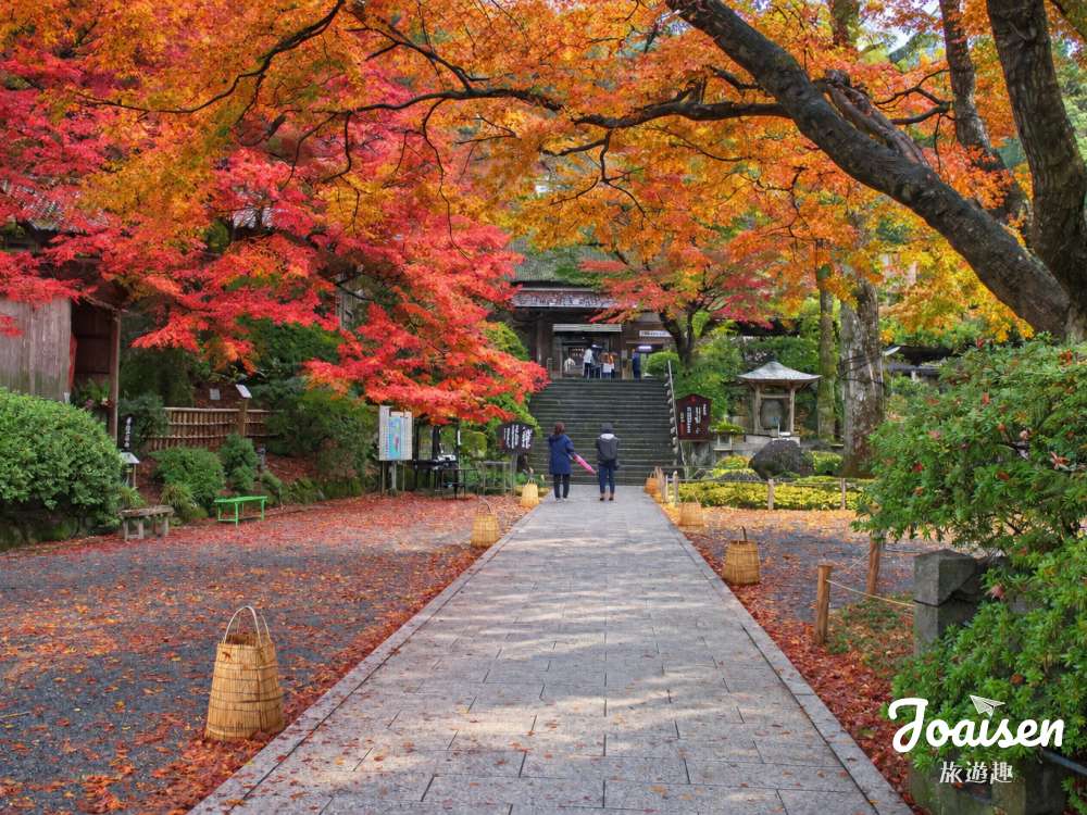 【日本九州】佐賀大興善寺賞楓攻略：帶爸媽也走得輕鬆！交通、門票、石段與路線安排一次看