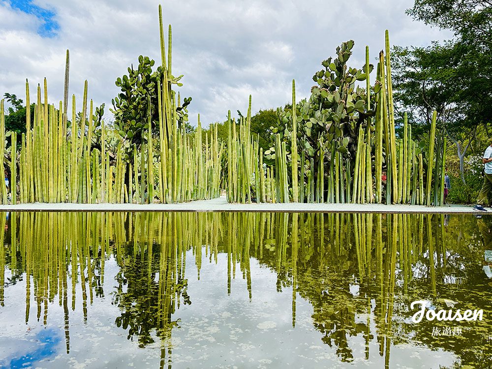 ▲ Jardín Etnobotánico de Oaxaca