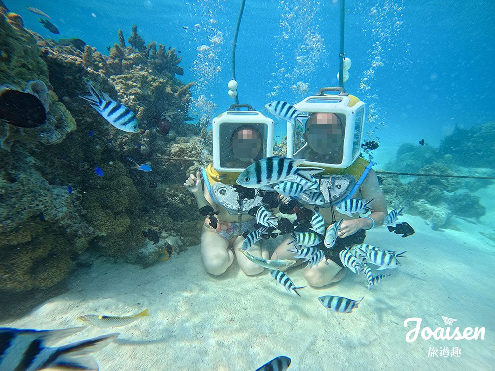 ▲ 海底拍照